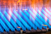 Lineholt gas fired boilers